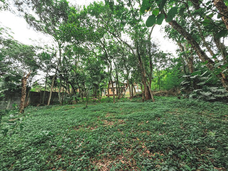 Chalé acolhedor em meio à natureza na Granja Viana