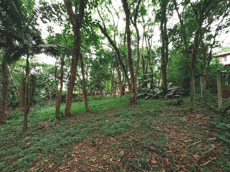 Chalé acolhedor em meio à natureza na Granja Viana