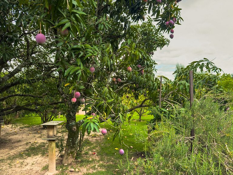 Casa de alto padrão com piscina e 4 suítes em Itu