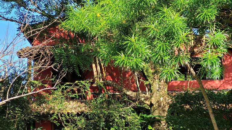 Casa Aruna (Principal) - Península de Maraú