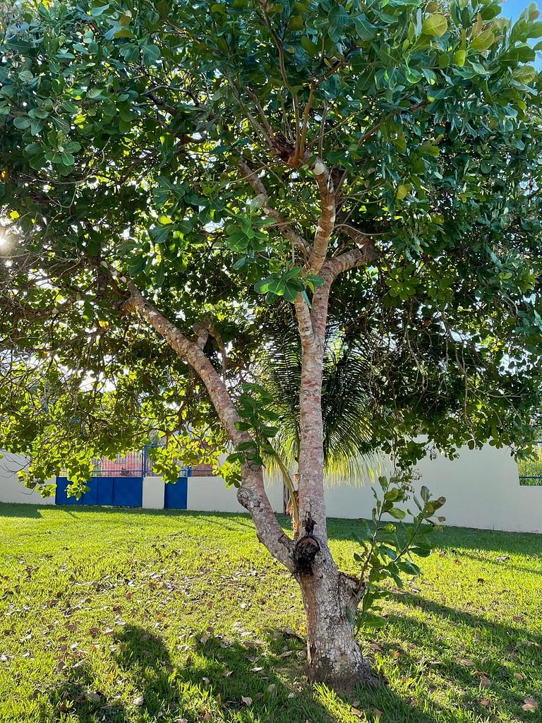 Casa ampla com jardim e 3 suítes em Novo Airão