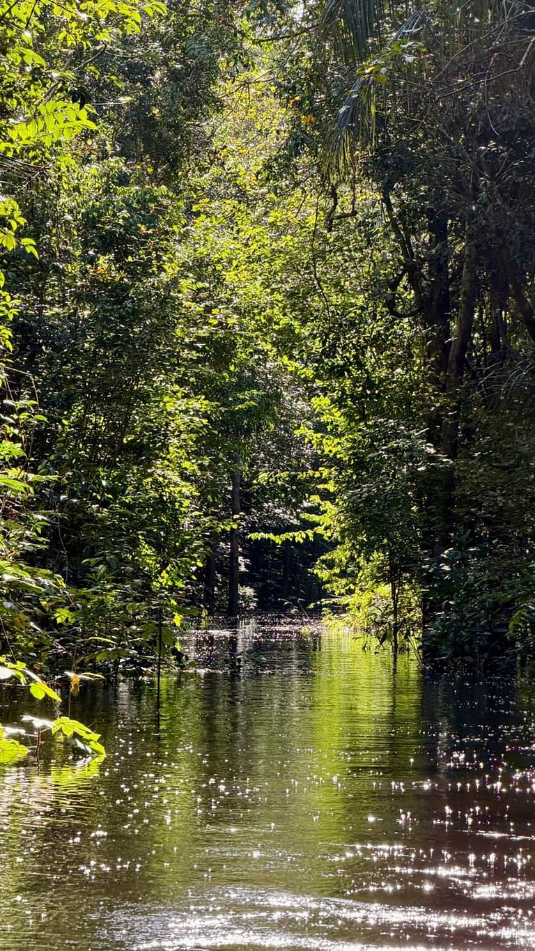 Casa ampla com jardim e 3 suítes em Novo Airão