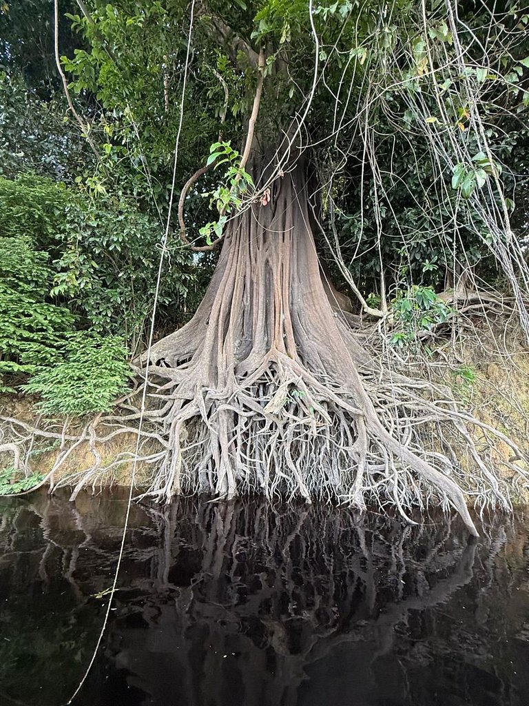Casa ampla com jardim e 3 suítes em Novo Airão