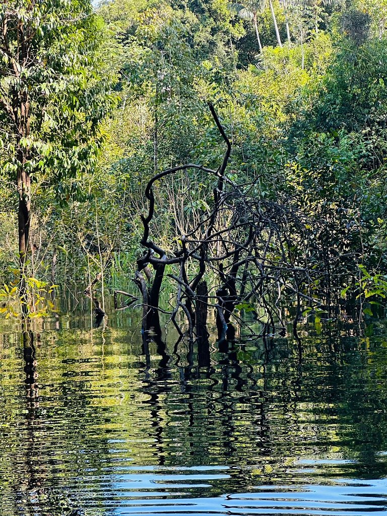 Casa ampla com jardim e 3 suítes em Novo Airão