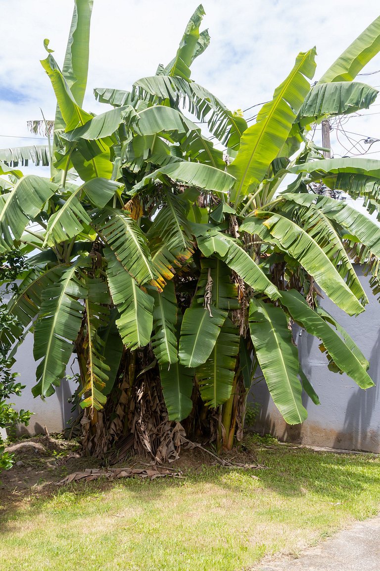 Casa a 180m da Praia de Boraceia | Piscina e Churrasqueira