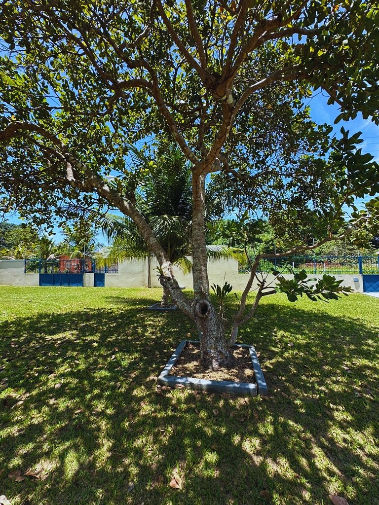 Casa ampla com jardim e 3 suítes em Novo Airão