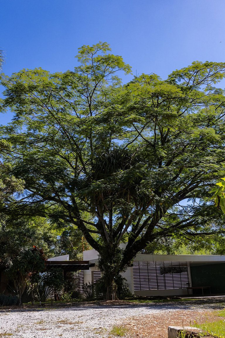 Casa Flamboyant | 3 Suítes c/ Piscina e Jardim